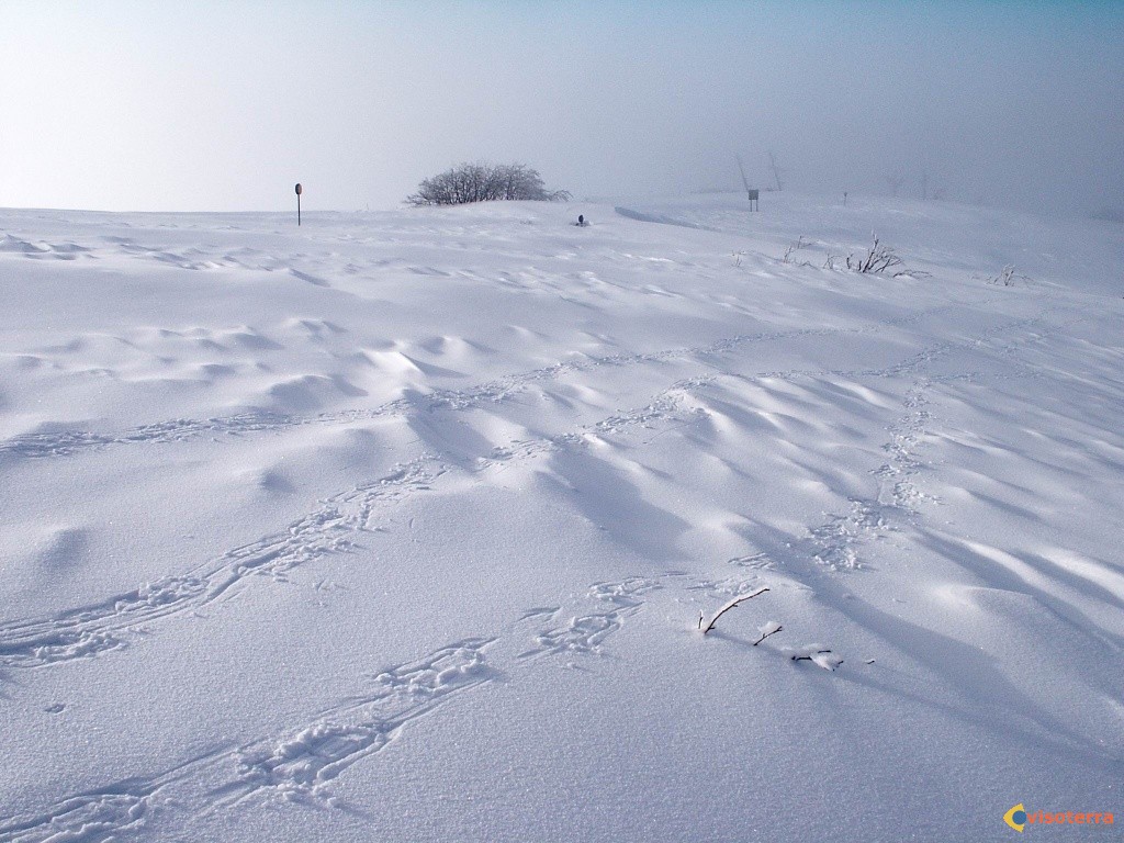 Podcast sur la neige